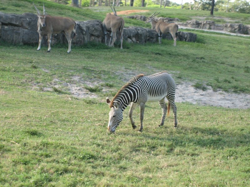 Florida2009 119